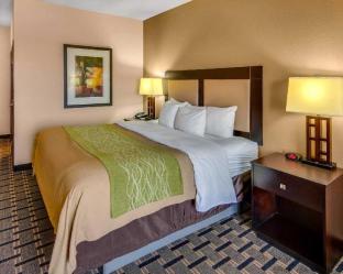 Comfort Inn and Suites Paris